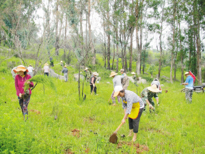 22791592934327506 22791592934327506