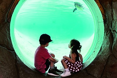 聯(lián)合國教科文組織前總干事：文化在全球疫情中具有治愈、復蘇之力