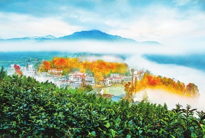 “兩山”理念的浙江實(shí)踐 讓綠色成為最動(dòng)人的色彩