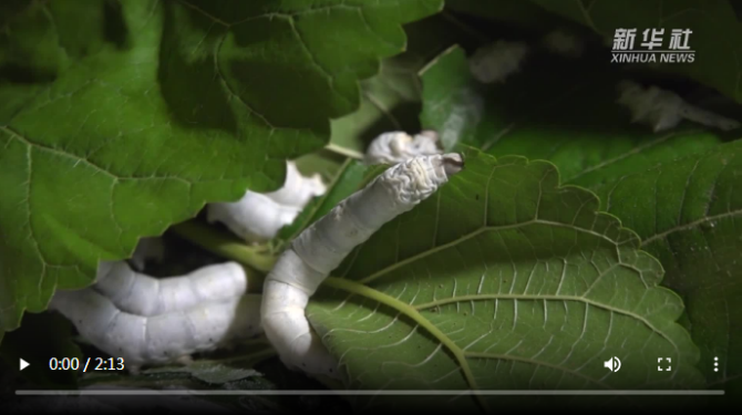 微信截圖_20200625103742