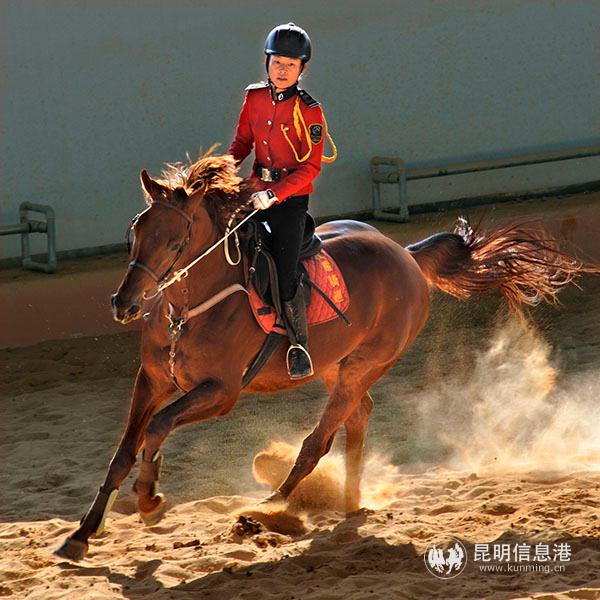 馬術(shù)俱樂(lè)部實(shí)景圖