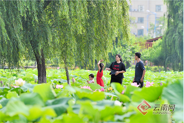 00301855222_e0e76f68