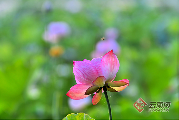 00301855223_71df685c