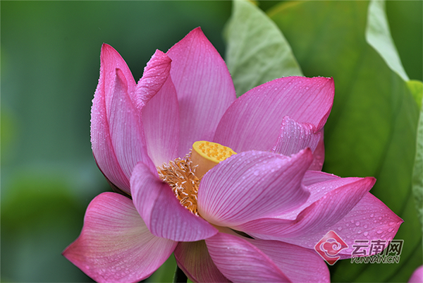 00301855227_77b3741b