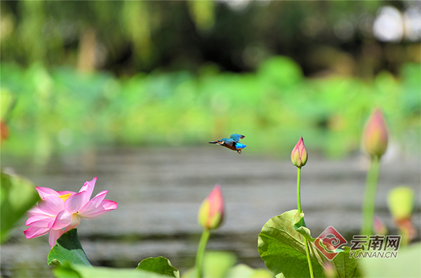 00301855228_7c5c3d5a