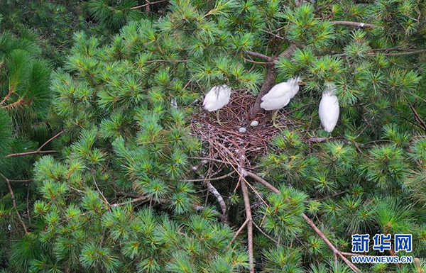 139173105_15933924857451n 139173105_15933924857451n