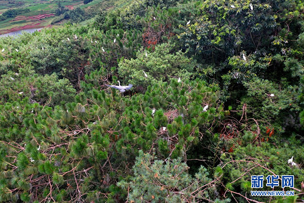 139173105_15933924859911n 139173105_15933924859911n