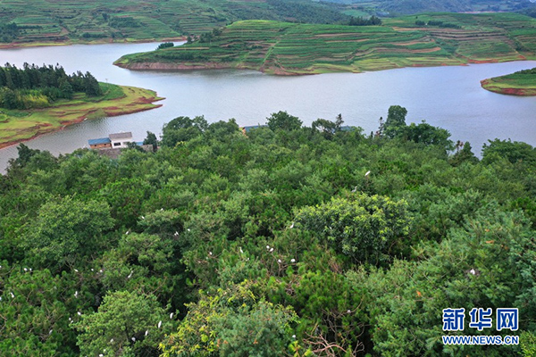 139173105_15933924862541n 139173105_15933924862541n