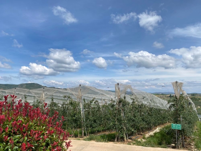 XxjwszC007018_20200629_CBMFN0A002.jpg@1000w_1e_1c_80Q_1x XxjwszC007018_20200629_CBMFN0A002.jpg@1000w_1e_1c_80Q_1x