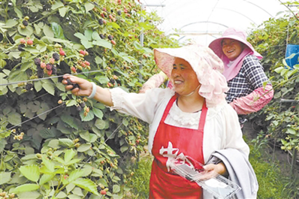 res01_attpic_brief (1)