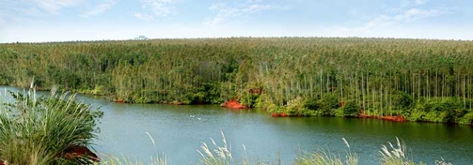 國家林草局:20年來我國退耕還林還草5.15億畝 國家林草局:20年來我國退耕還林還草5.15億畝