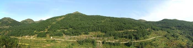 國家林草局:20年來我國退耕還林還草5.15億畝 國家林草局:20年來我國退耕還林還草5.15億畝