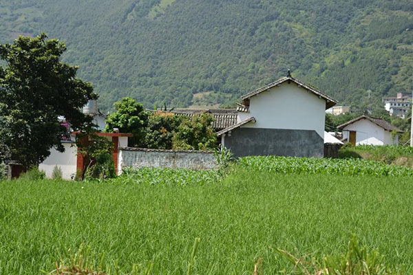 微信圖片_20200528161345 微信圖片_20200528161345