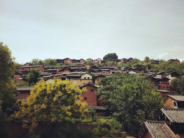 微信圖片_20200528163259 微信圖片_20200528163259