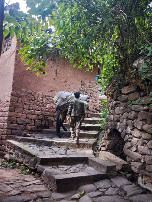 微信圖片_20200528163317 微信圖片_20200528163317