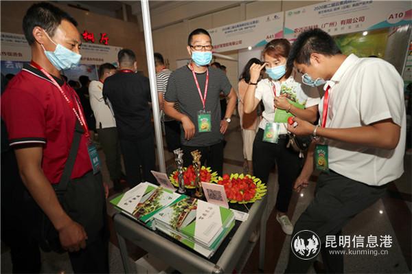 果蔬產(chǎn)品展示區(qū)紅火熱鬧 果蔬產(chǎn)品展示區(qū)紅火熱鬧