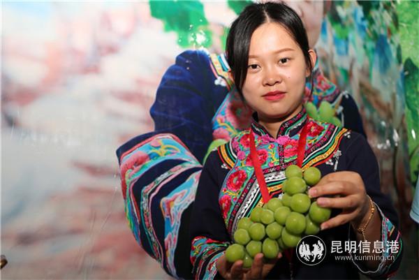 云南參展商展示優(yōu)質(zhì)果品 云南參展商展示優(yōu)質(zhì)果品