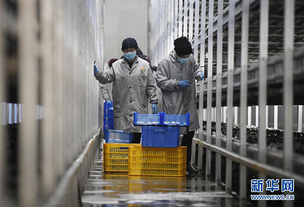 1126179802_15935402472511n 1126179802_15935402472511n