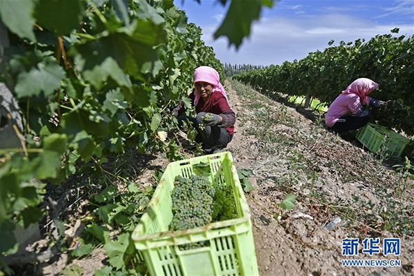 1126179802_15935402473871n 1126179802_15935402473871n