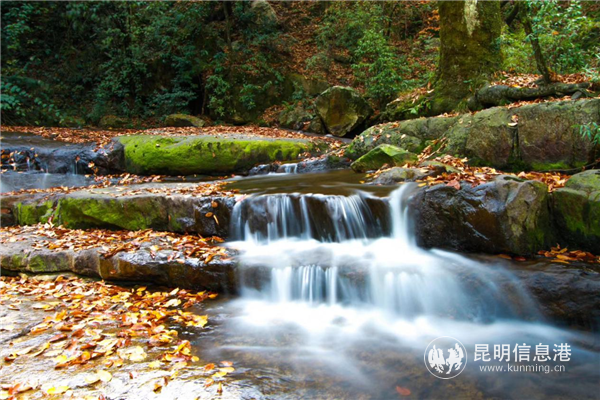 微信圖片_20200701181235