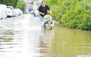 36531593625541295 36531593625541295