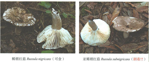 圖片 4.png 圖片 4.png