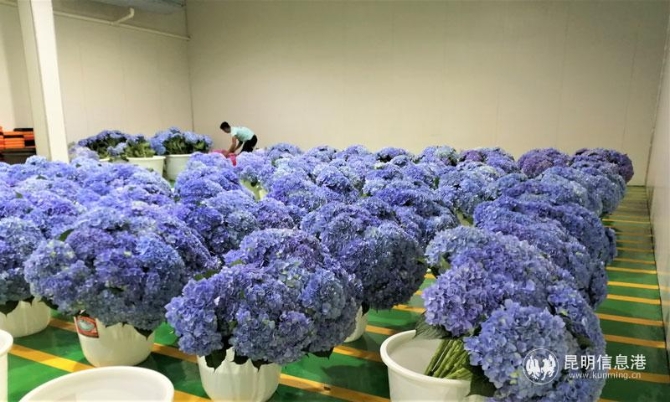 微信圖片_20200630135039 微信圖片_20200630135039