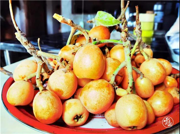 微信圖片_20200528165559 微信圖片_20200528165559