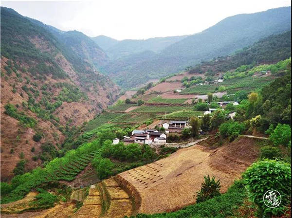 微信圖片_20200528165607 微信圖片_20200528165607