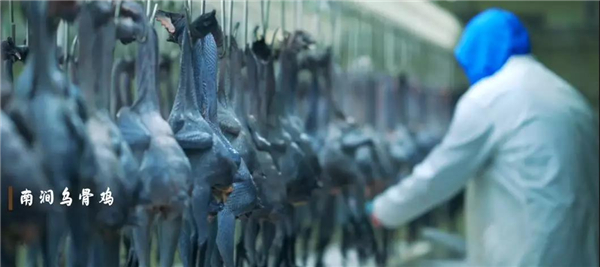 微信圖片_20200528170149