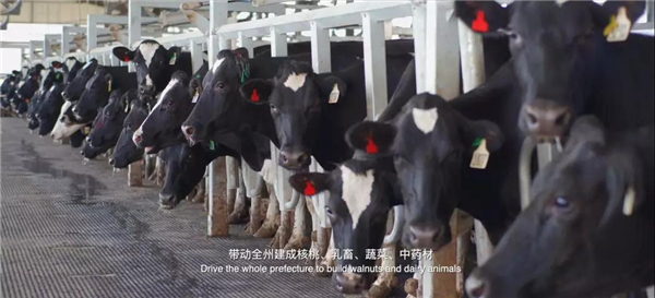 微信圖片_20200528170204