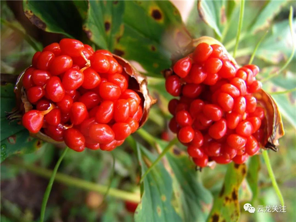 微信圖片_20200528171727