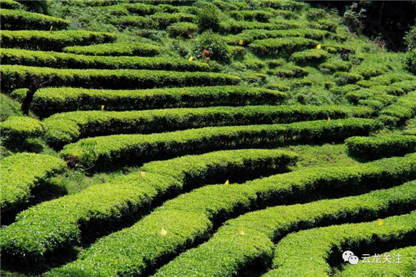 微信圖片_20200528171736