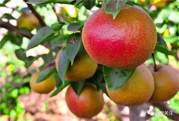 微信圖片_20200528171742