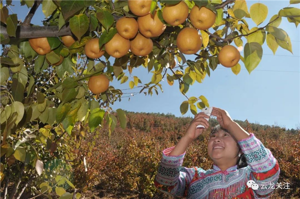 微信圖片_20200528171745