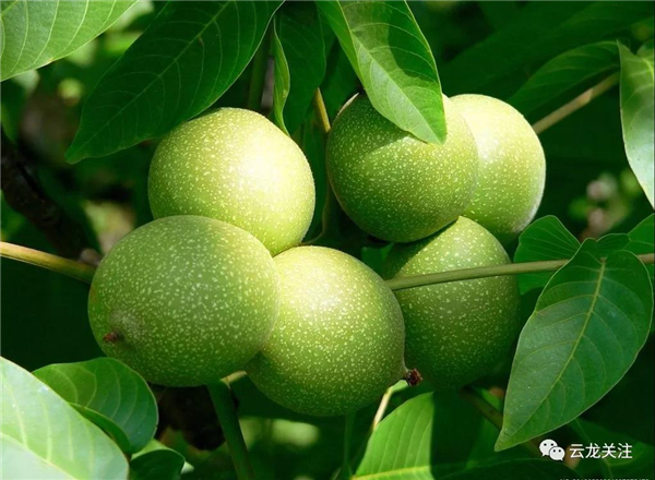 微信圖片_20200528171749