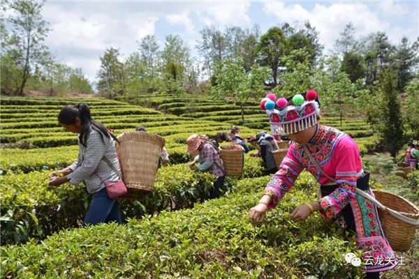 微信圖片_20200528171752