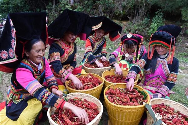 微信圖片_20200528171758