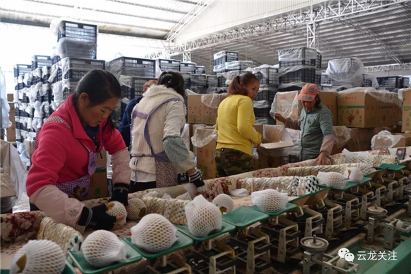 微信圖片_20200528171802