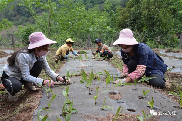 微信圖片_20200528171808