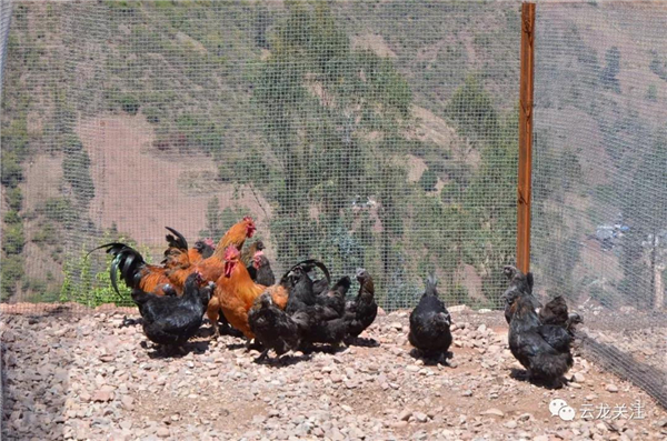 微信圖片_20200528171822