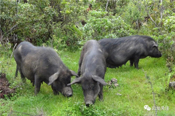 微信圖片_20200528171825