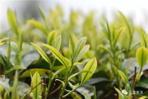 微信圖片_20200528172730