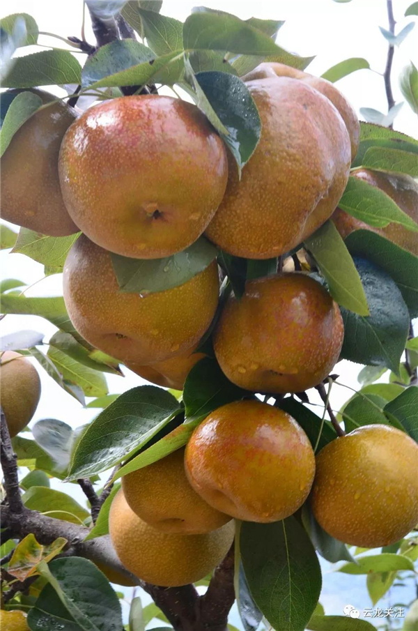 微信圖片_20200528172733