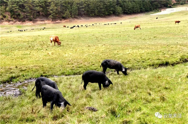 微信圖片_20200528172737