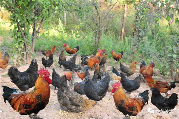 微信圖片_20200528172740