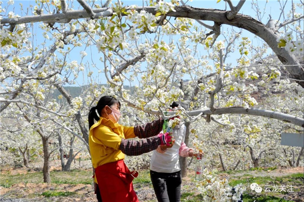 微信圖片_20200528173317