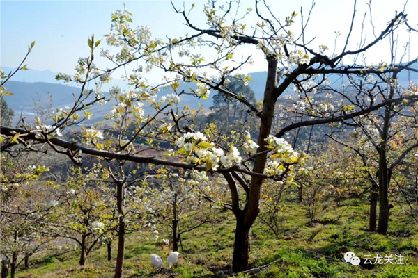 微信圖片_20200528173330