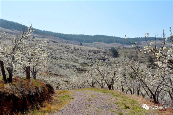 微信圖片_20200528173336