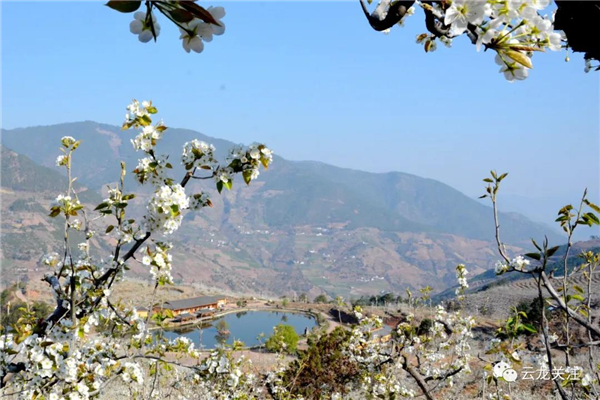 微信圖片_20200528173341